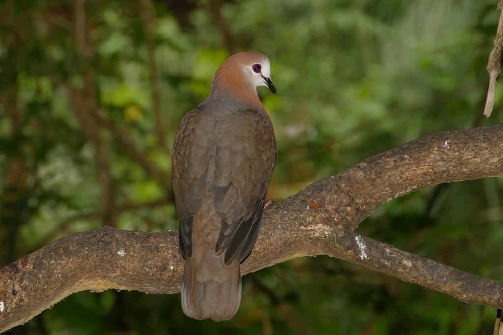 Wildernis Kingfisher Country House מראה חיצוני תמונה