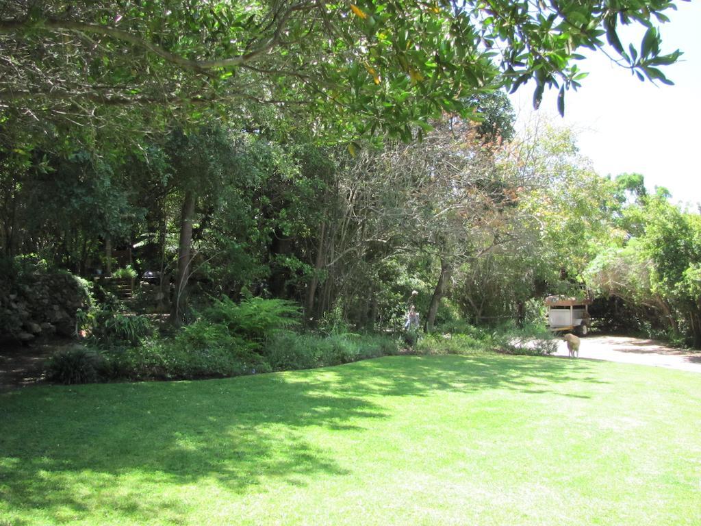Wildernis Kingfisher Country House מראה חיצוני תמונה